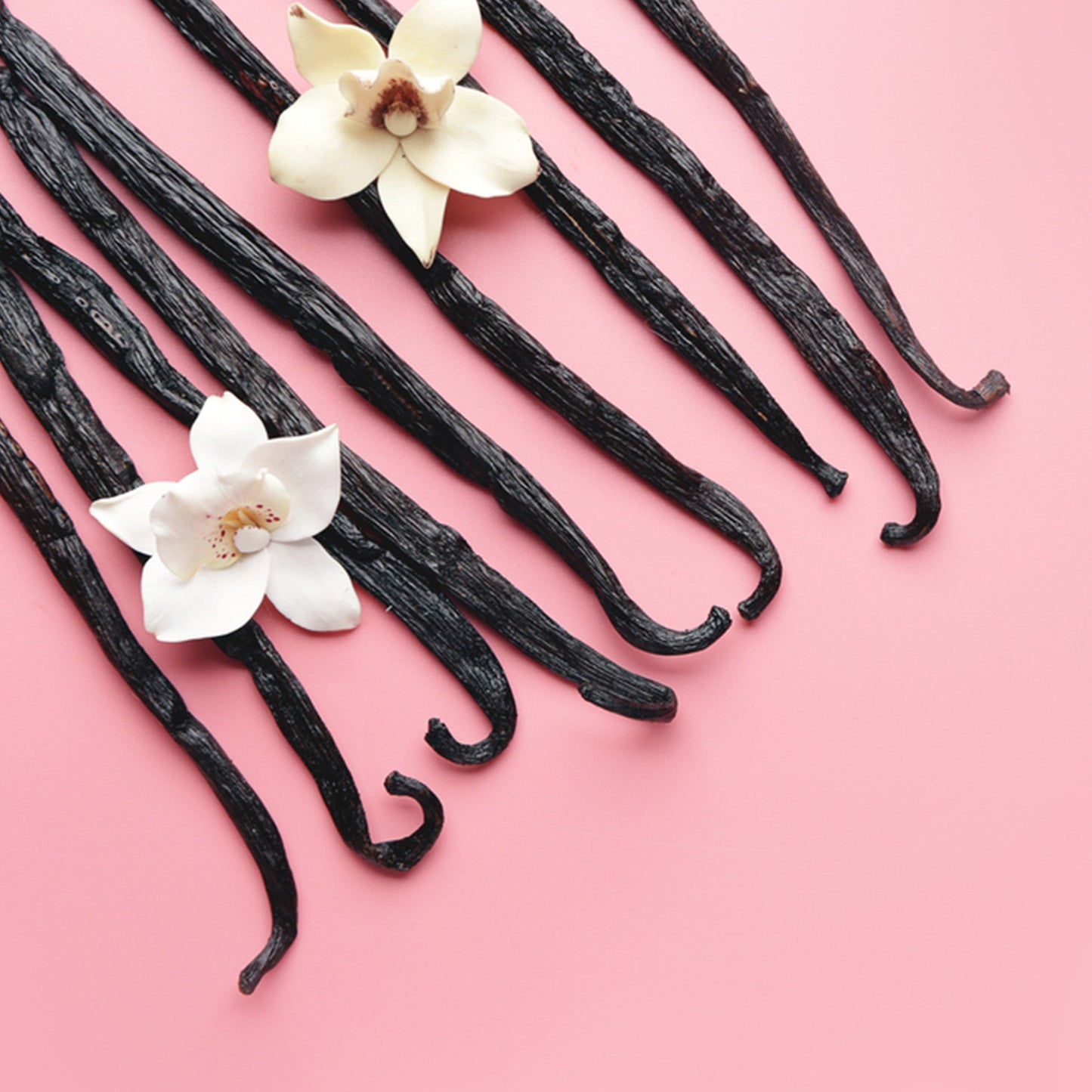 Confect Vanilla Beans