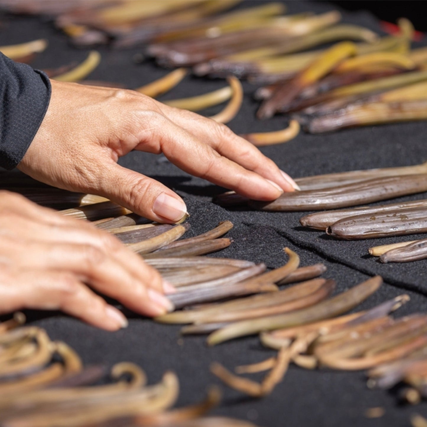 Confect Vanilla Beans