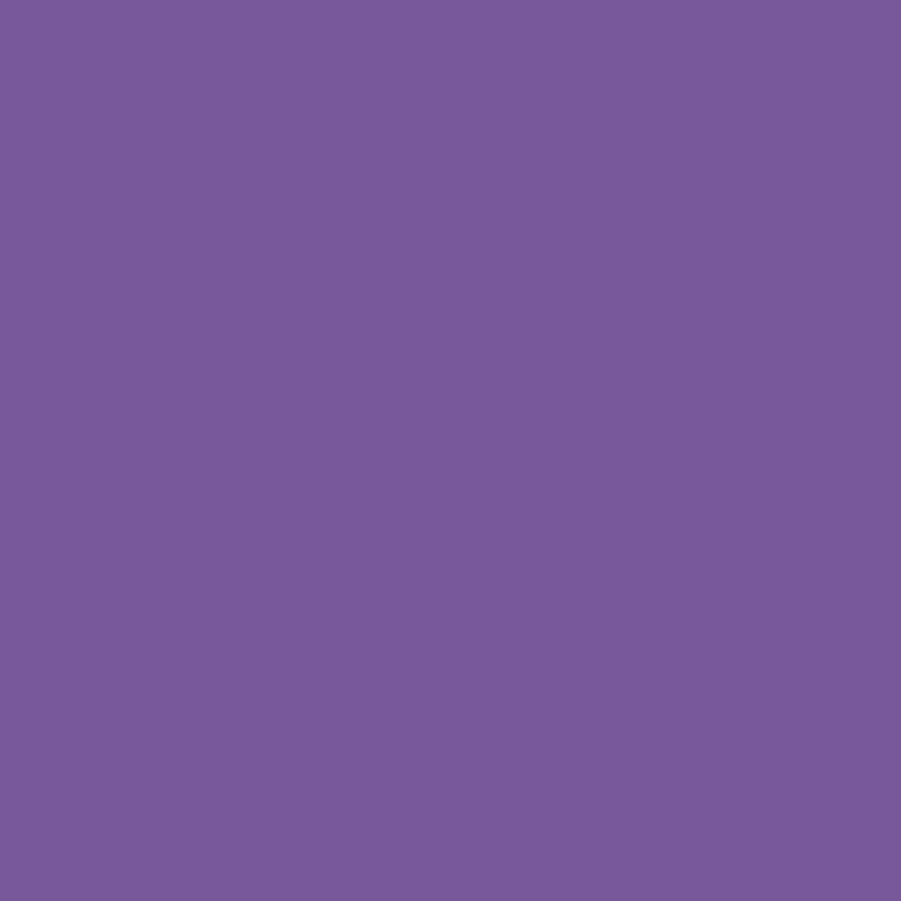 Purple Fondant | Edible Nutritional Sugarpaste 250 Gm